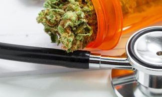 Cannabis als Medizin in der PKV