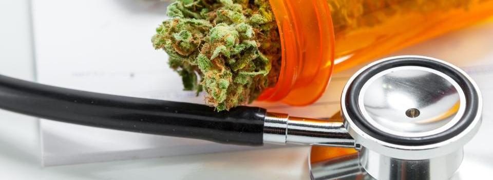 Cannabis als Medizin in der PKV