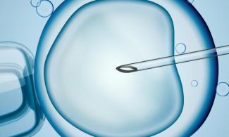 Künstliche Befruchtung