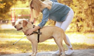 Therapie-, Assistenz- und Blindenhunde