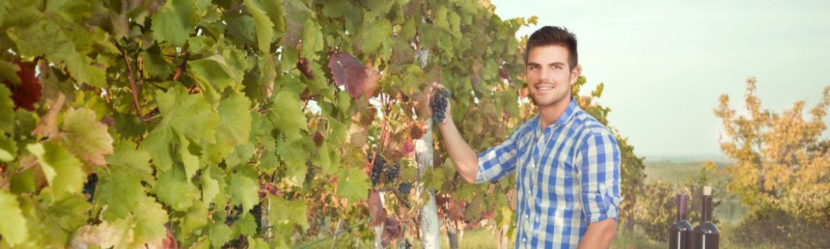 Sonnenschutz im Beruf