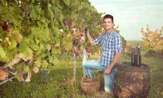 Sonnenschutz im Beruf